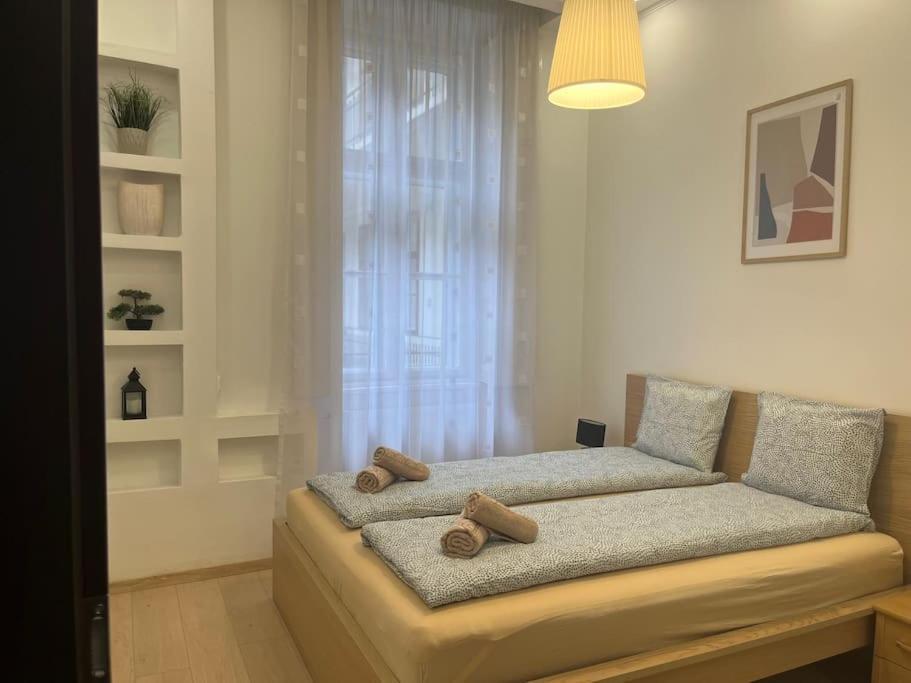 Szechenyi Renovated 2Br At Danube River Budapest Bagian luar foto